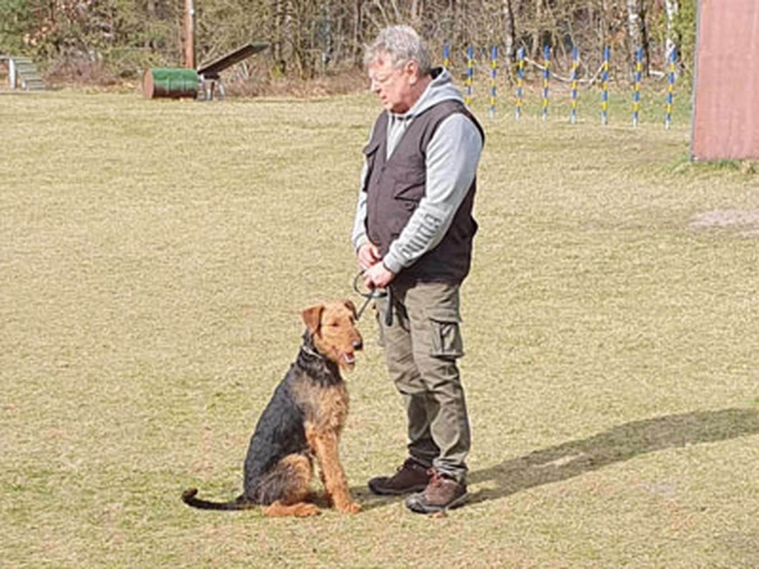 Züchter in VDH - Airedale Terrier vom Lorbas 