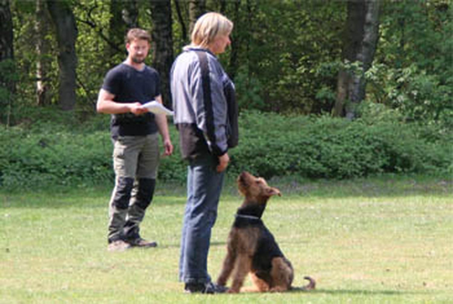 Züchter in VDH - Airedale Terrier vom Lorbas 