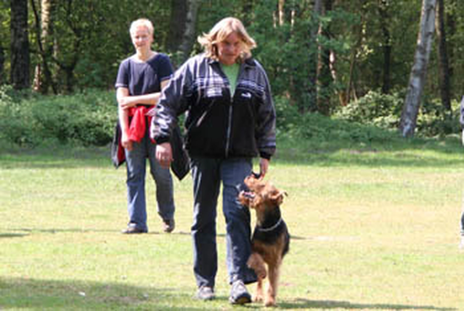 Züchter in VDH - Airedale Terrier vom Lorbas 