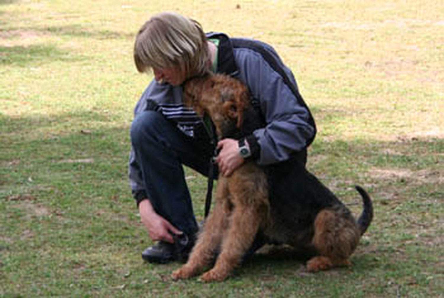 Züchter in VDH - Airedale Terrier vom Lorbas 