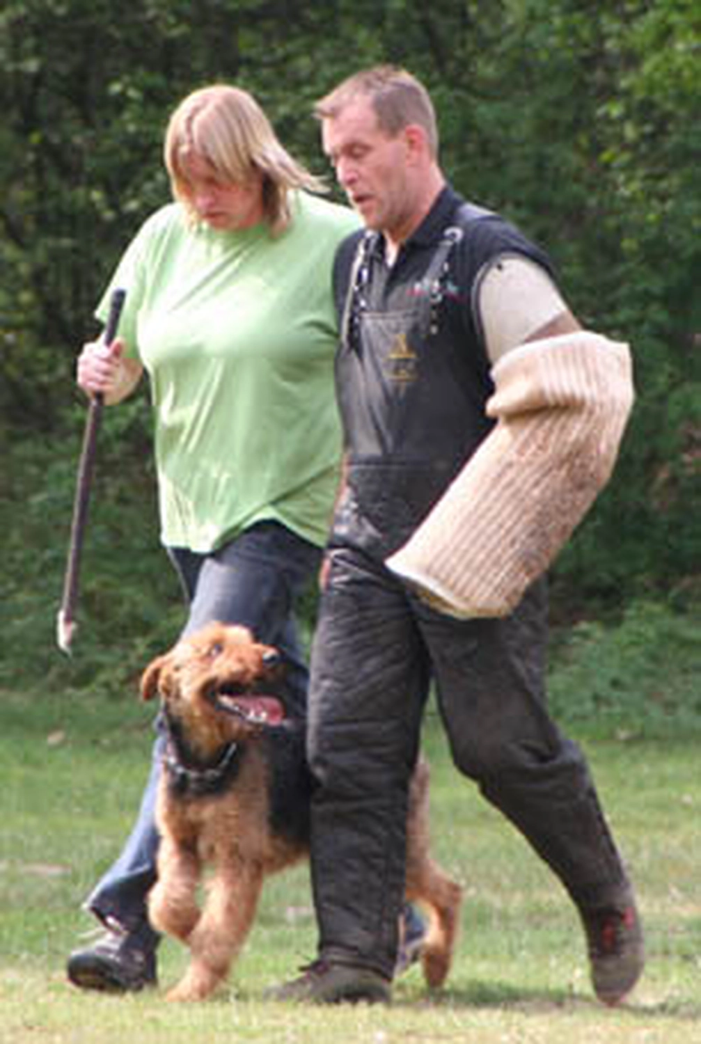 Züchter in VDH - Airedale Terrier vom Lorbas 