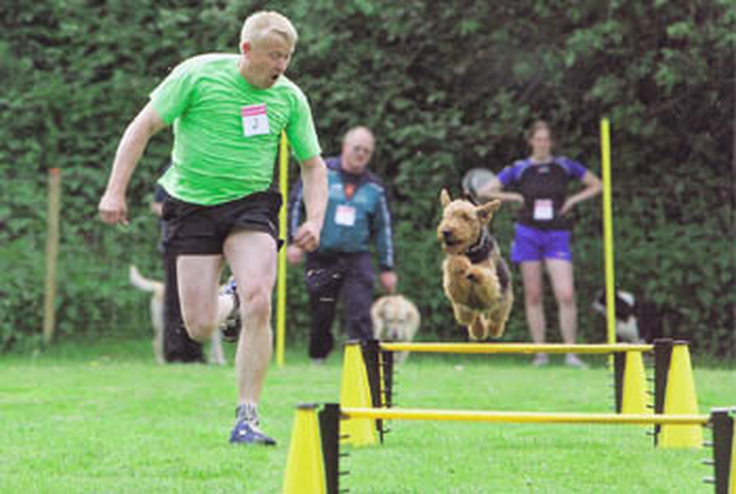 Züchter in VDH - Airedale Terrier vom Lorbas 