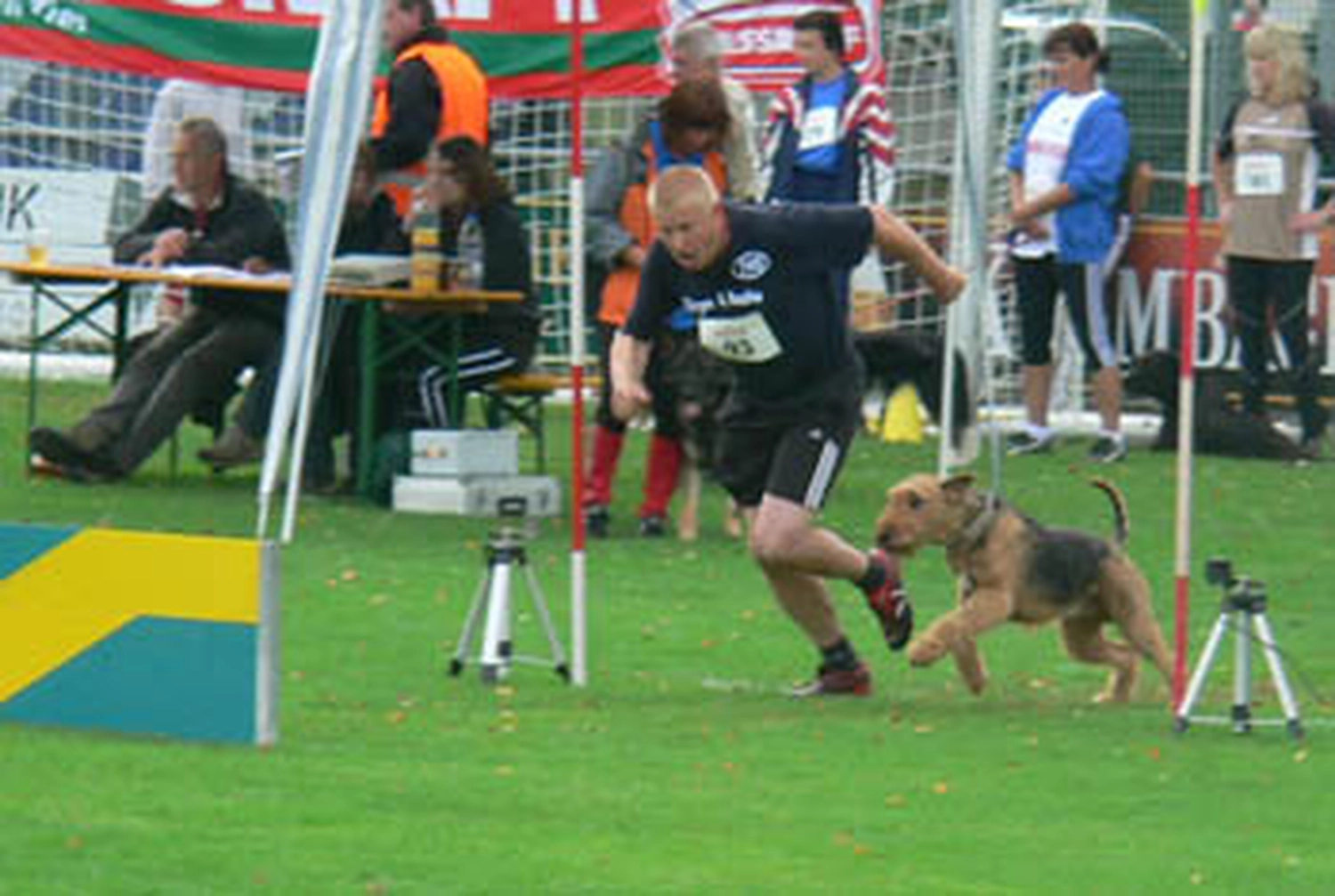 Züchter in VDH - Airedale Terrier vom Lorbas 