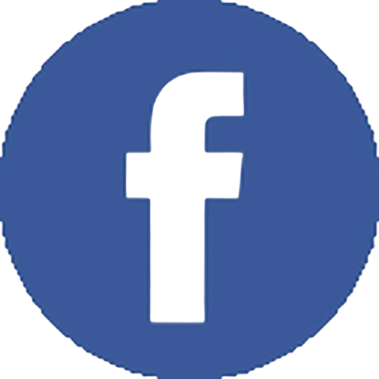 Züchter in VDH - Airedale Terrier vom Lorbas - Facebook-Symbol